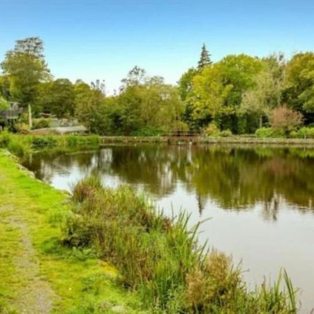 Cosy Hideaway Lodge In Glan Gwna Caeathro Extérieur photo